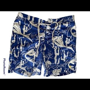 Mens Polo swim trunks